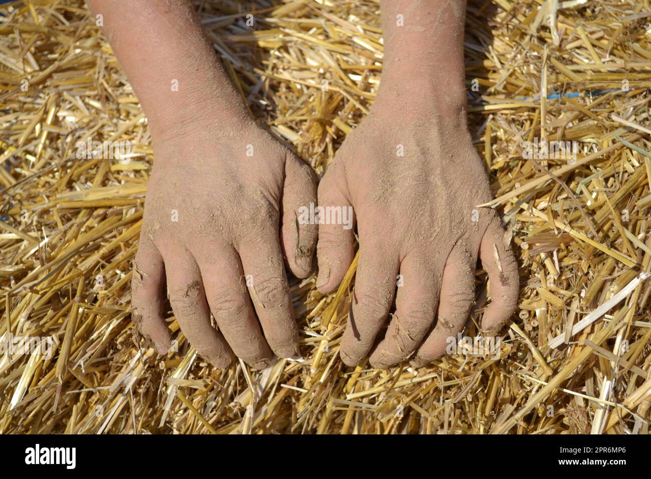 Mani di una giovane donna che lavora con argilla e gesso di paglia. Edificio con materiale naturale Foto Stock