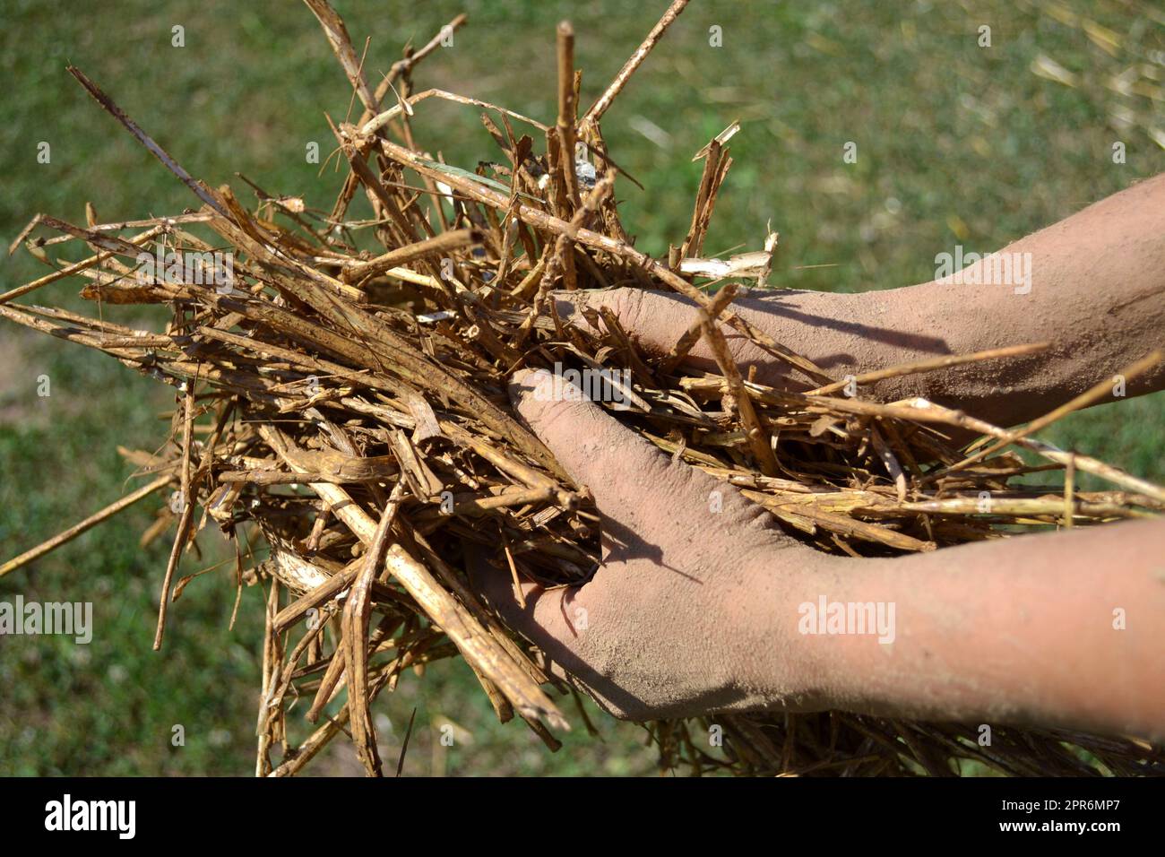 Mani sporche di una giovane donna che lavora con argilla e gesso di paglia. Edificio con materiale naturale Foto Stock