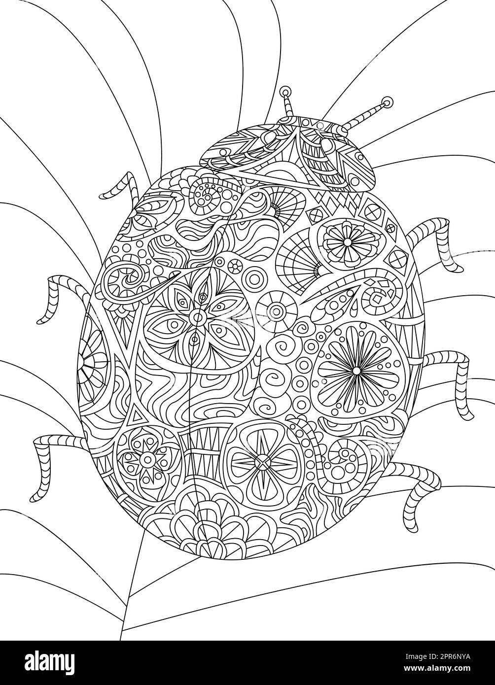 Bella Ladybug con sei gambe appoggiate su disegno linea foglia pianta. Foto Stock