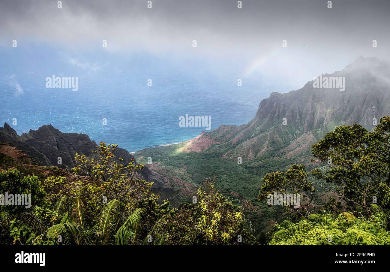 Kauai Island vista costiera della giungla lussureggiante Foto Stock