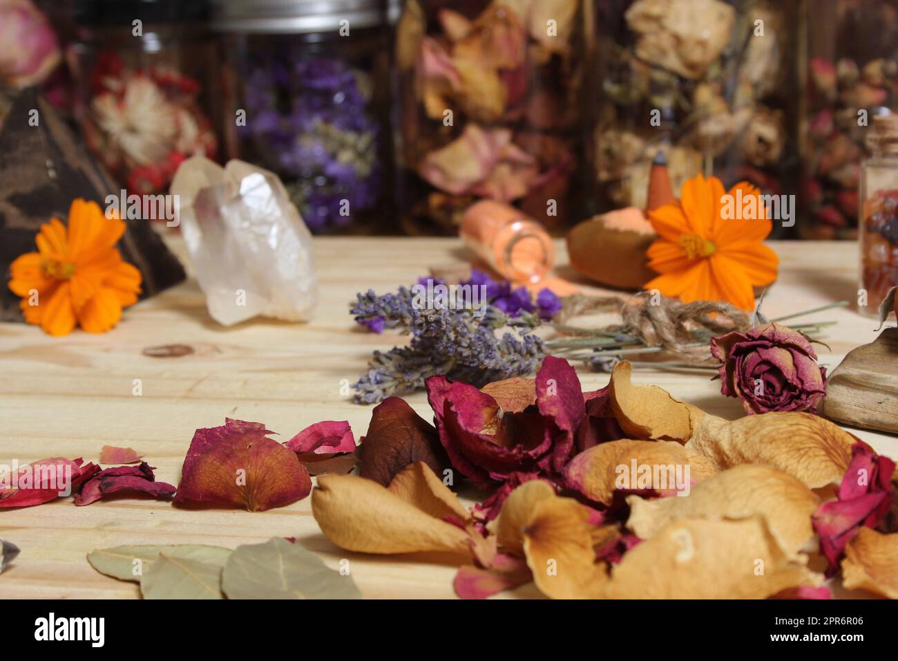 Petali di rosa e lavanda essiccata con cristalli e legno pietrificato Foto Stock