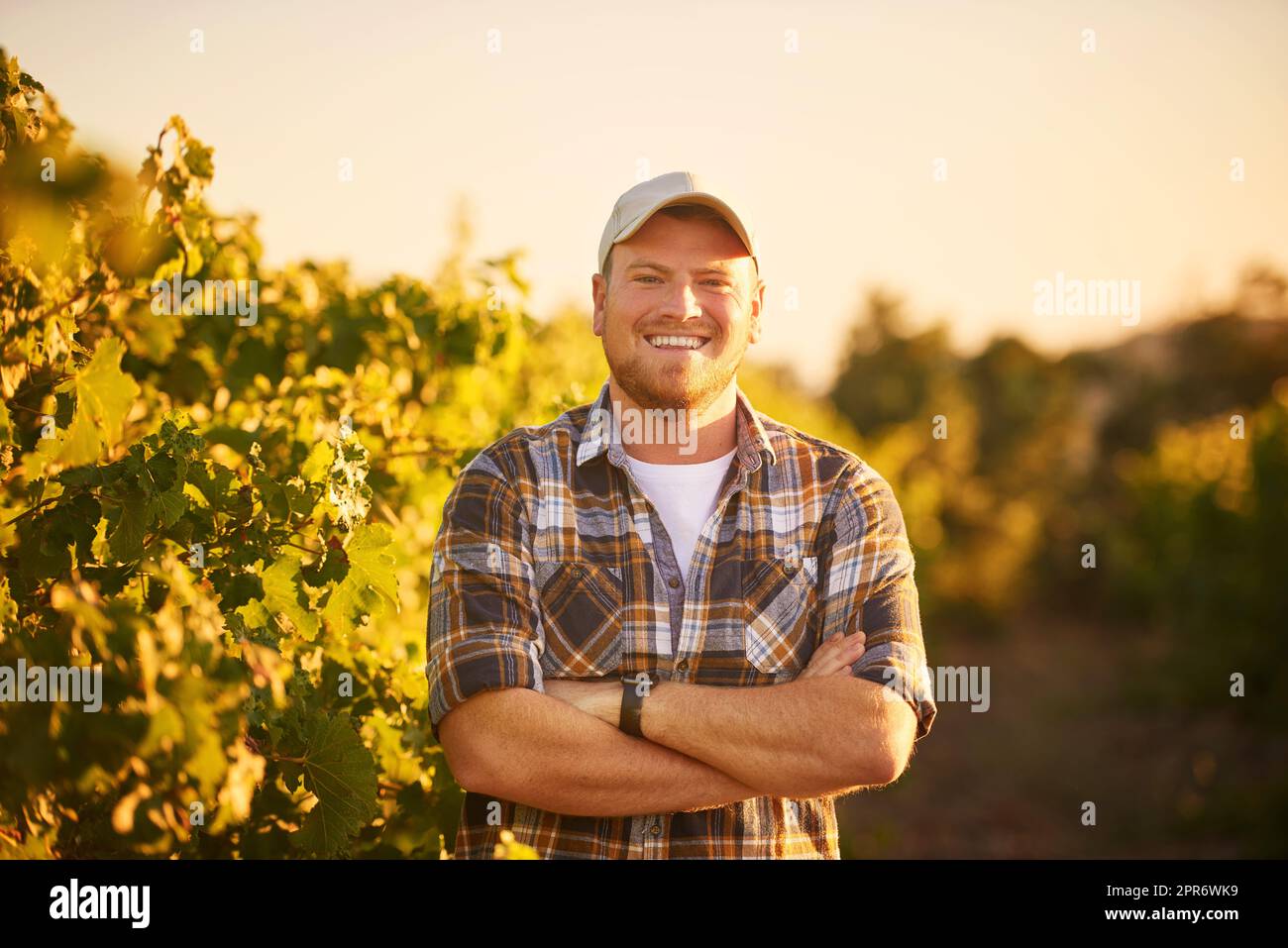 L'agricoltura è nel mio sangue. Ritratto di un contadino felice in posa con le braccia incrociate in un vigneto. Foto Stock