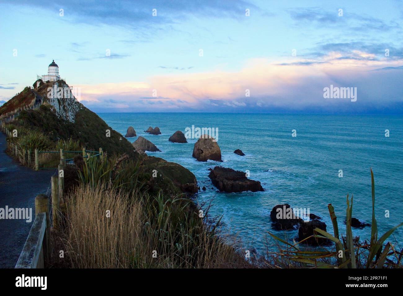 Costa Sud della Nuova Zelanda Foto Stock