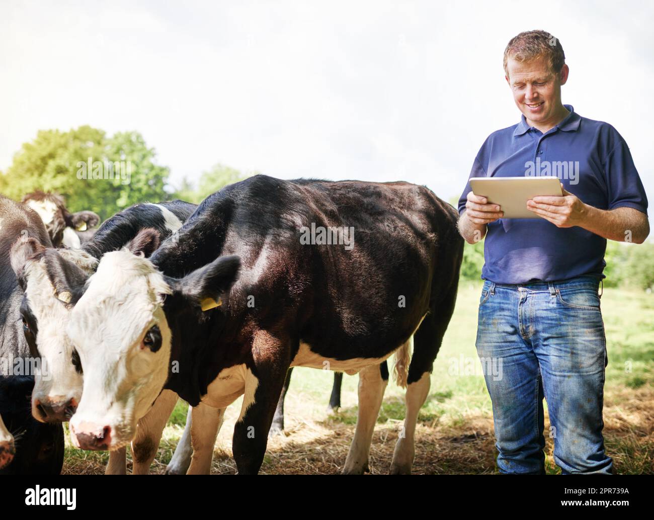 Gestione delle farm semplificata con le app mobili. Shot di un agricoltore che usa un tablet digitale nella sua fattoria. Foto Stock
