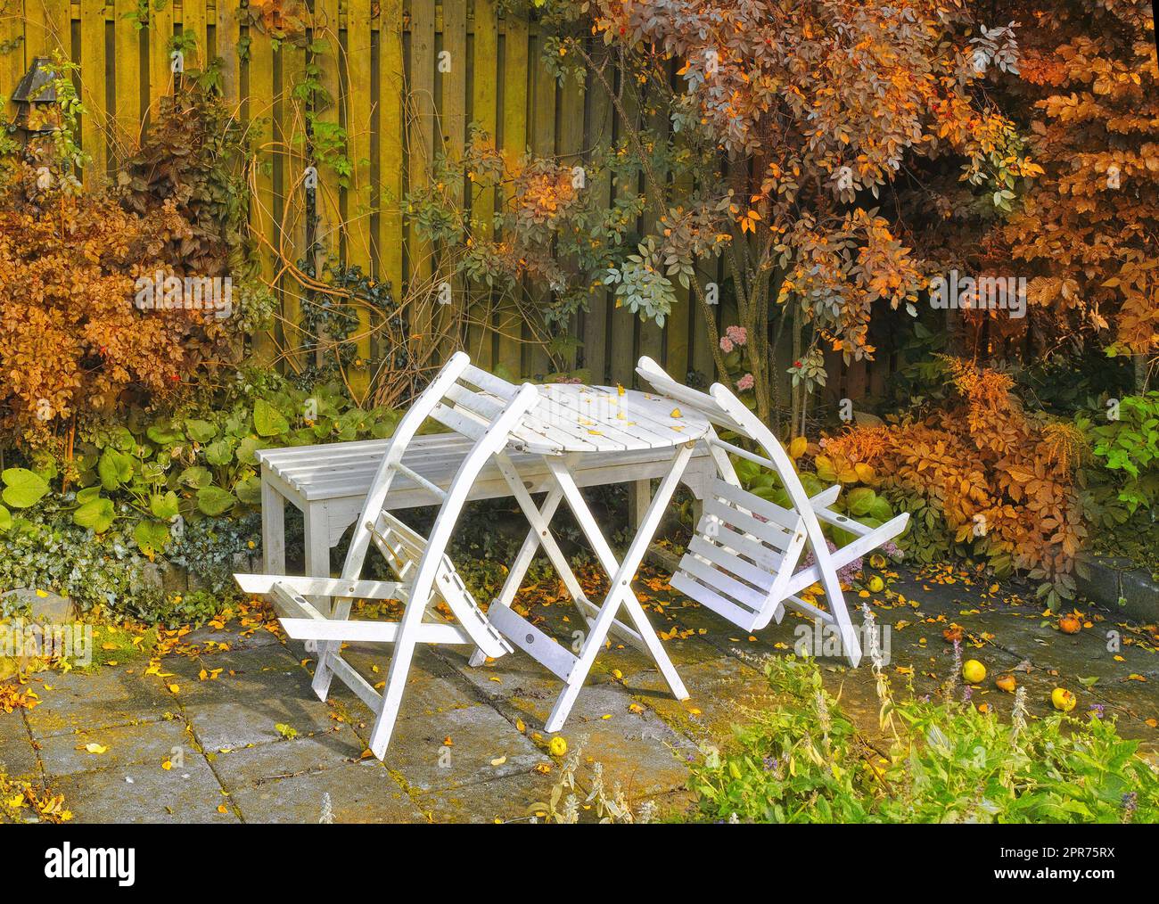 Sedie e tavolo in legno bianco in un sereno, tranquillo, lussureggiante cortile privato a casa in autunno. Mobili da patio allestiti nello spazio esterno, posti a sedere in un giardino vuoto e tranquillo con piante di macchia Foto Stock