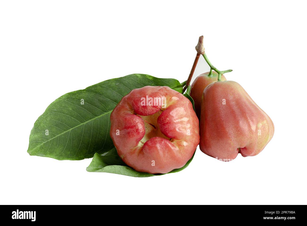 Mela rosa, chophu, mela rosa eugenia isolato su sfondo bianco con percorso di ritaglio. Foto Stock