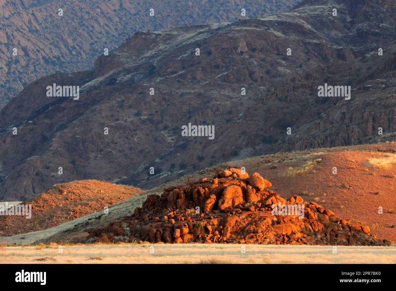 Paesaggio desertico panoramico - Monte Brandberg Foto Stock
