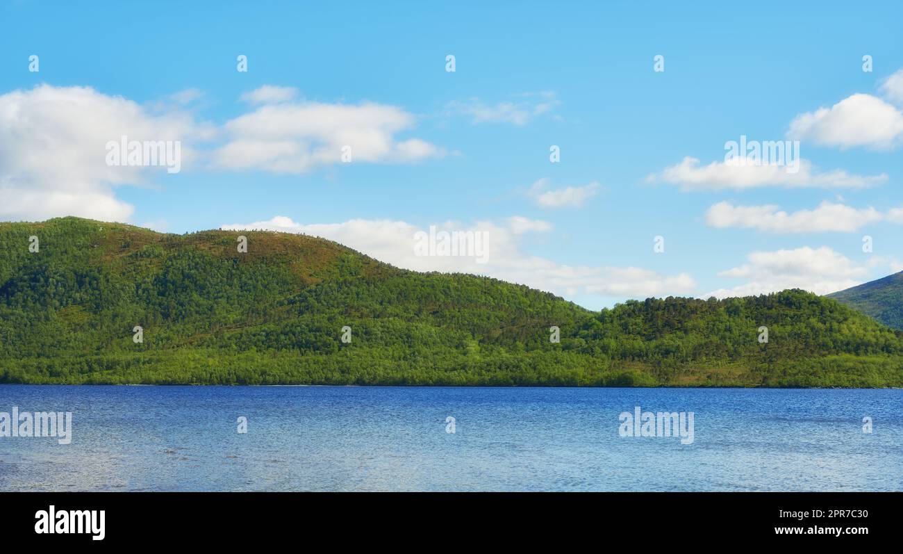 Verdi colline sul mare con un cielo blu in Norvegia. Paesaggio selvaggio e vivace nel Nordland. Un mare calmo vicino a un'isola selvaggia disabitata contro un orizzonte luminoso e nuvoloso. Ambiente naturale tranquillo Foto Stock