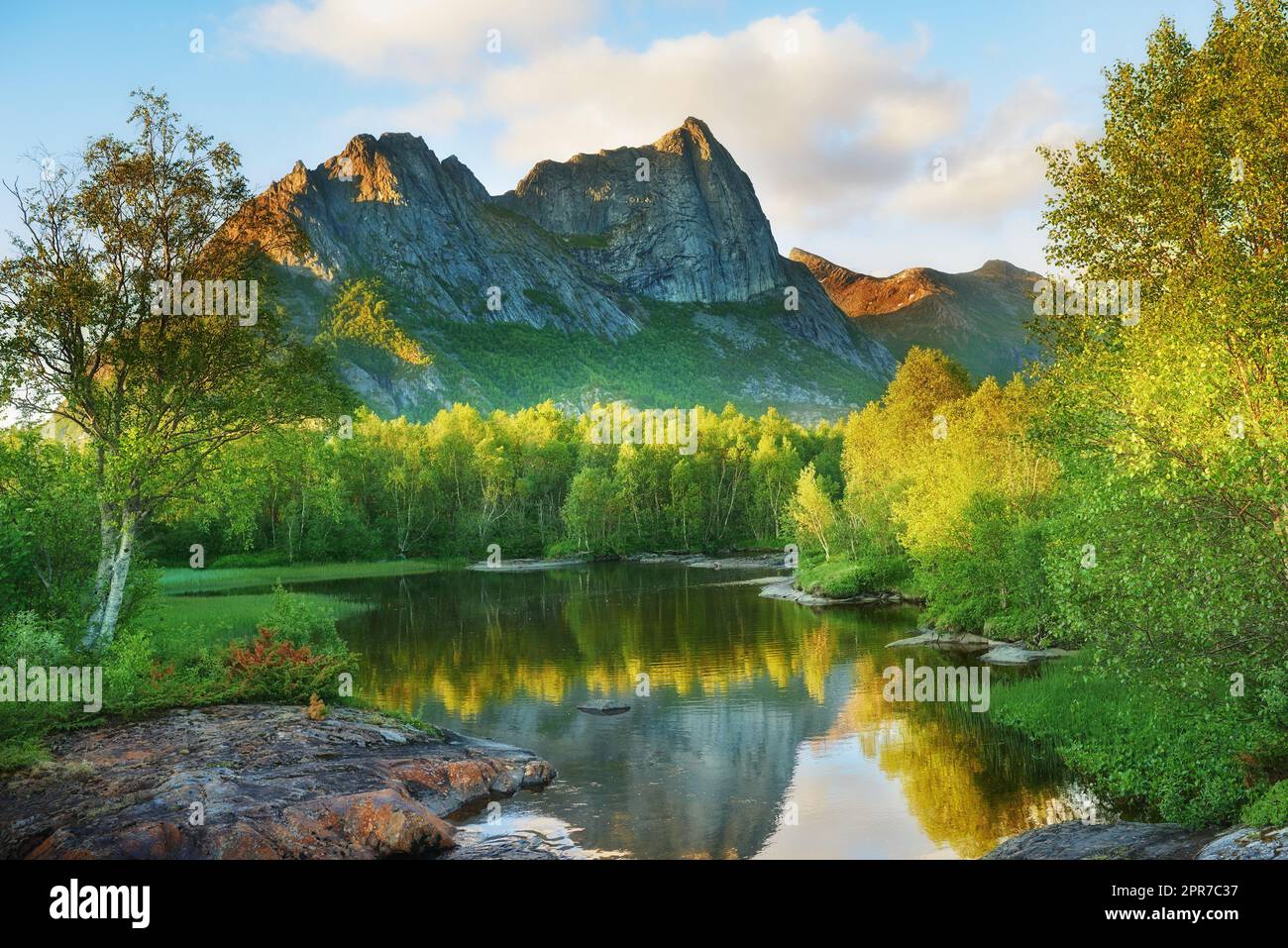Paesaggio forestale naturale della montagna Nordland sullo sfondo con un lago tranquillo e tranquillo circondato da una foresta verde durante il tramonto. Riflesso del cielo estivo nell'acqua e lussureggiante vegetazione verde Foto Stock