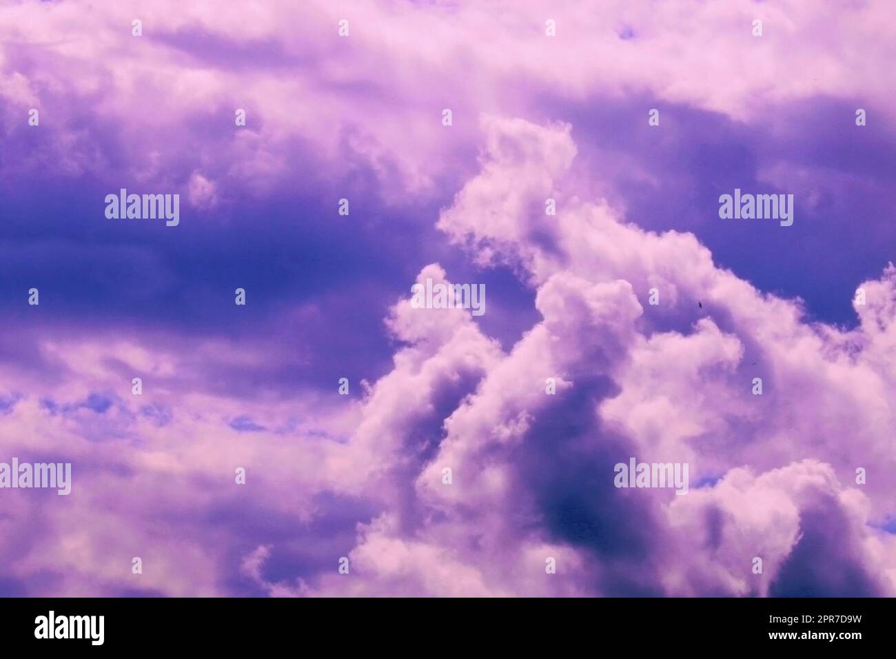 Bellissime nuvole di tempesta rosa su un cielo blu. Bellezza della natura. Sfondo naturale. Foto Stock