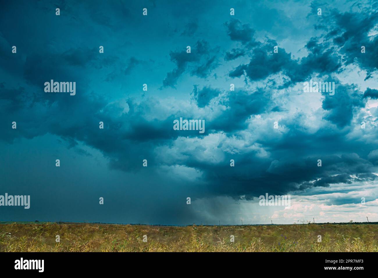 Cielo drammatico piovoso con le nuvole di pioggia sull'orizzonte sopra il campo di paesaggio rurale. Concetto di previsione agricola e meteorologica. Campo di senape bianco. Foto Stock