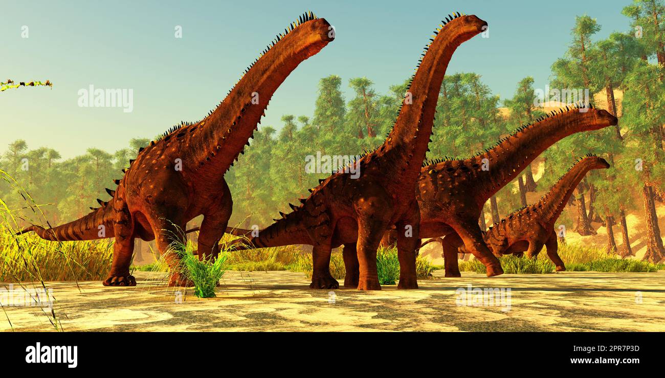 Un gregge di dinosauri di Alamosaurus sauropod cammina insieme in un giorno cretaceo del Nord America. Foto Stock