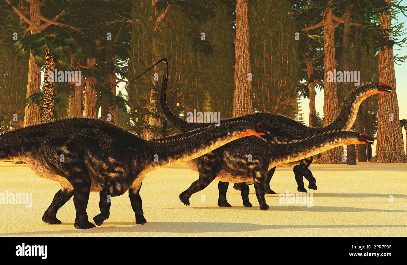 Una foresta preistorica durante l'età jurassica del Nord America nana enormi dinosauri di Apatosaurus sauropod. Foto Stock