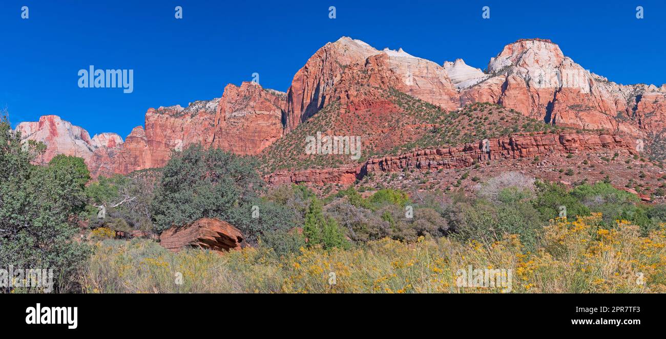 Vista panoramica delle scogliere di Zion Foto Stock