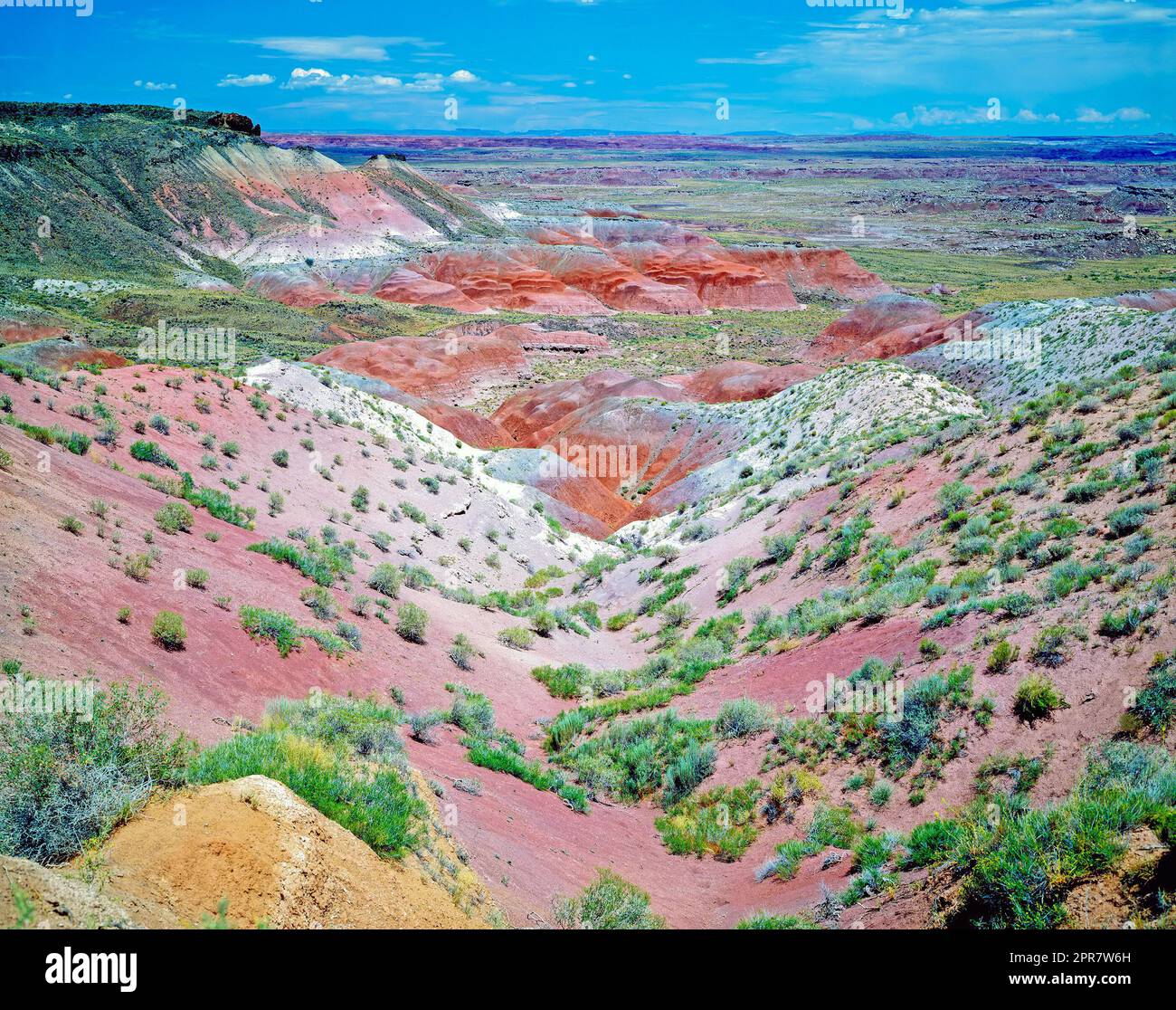 Deserto Dipinto in Arizona Foto Stock