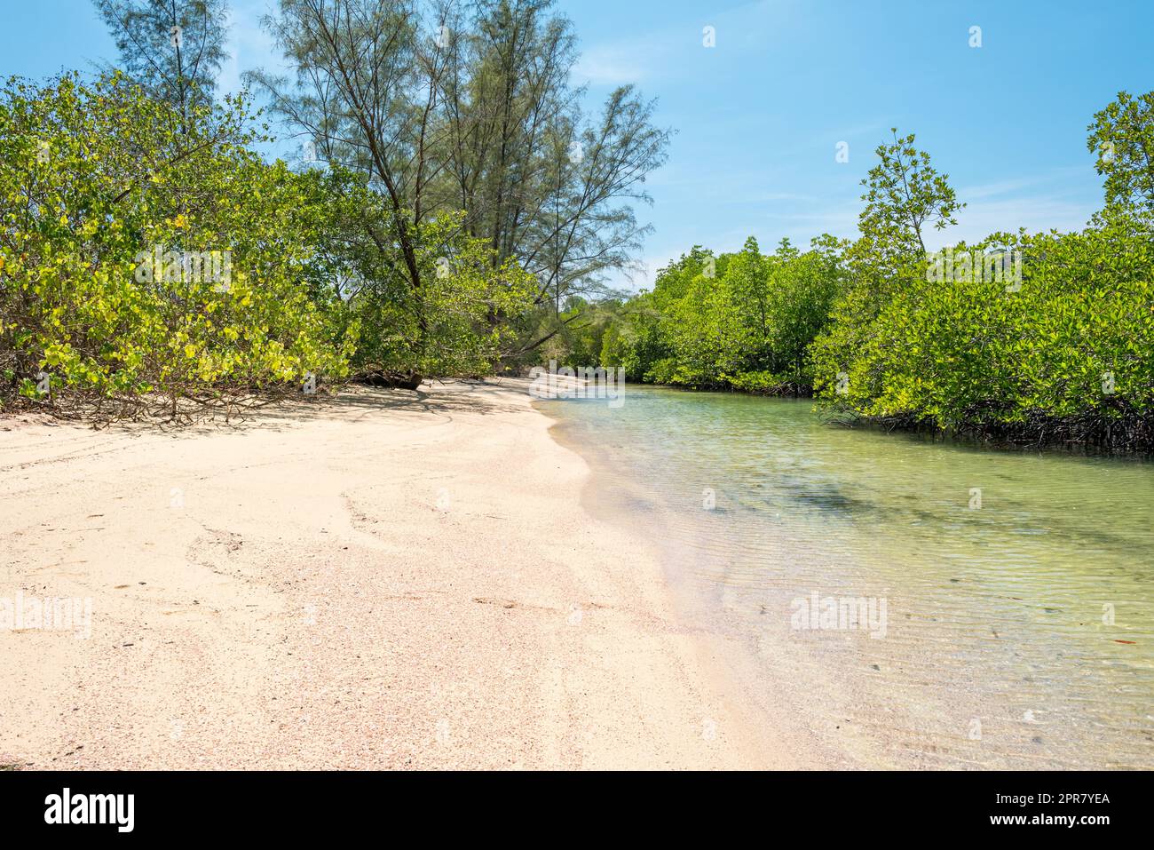 La spiaggia di Ao Khao Kwai con i suoi boschi di mangrovie mentre l'alta marea sull'isola di Ko Phayam in Thailandia Foto Stock