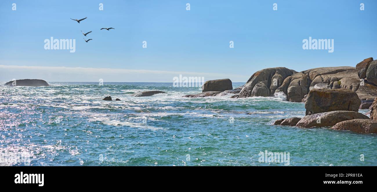 Calmo paesaggio marino con massi all'orizzonte blu, giornata di sole in Sud Africa. Tranquillo paesaggio marino con uccelli oceanici su splendide acque turchesi lungo la costa rocciosa con spazio per copiare nel luogo di viaggio Foto Stock