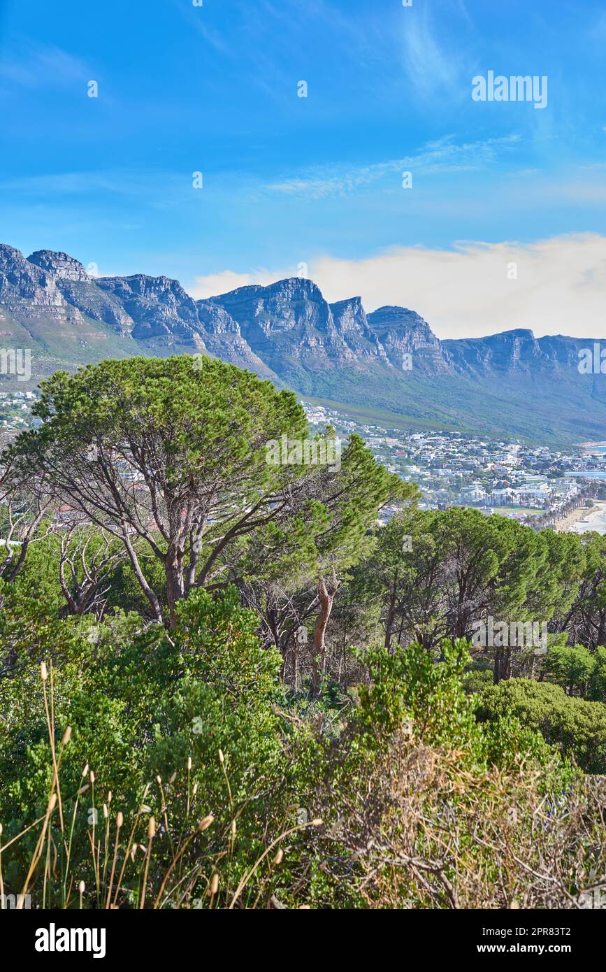 Copia dello spazio con i dodici Apostoli a Table Mountain a città del Capo su uno sfondo blu. Incredibile vista delle piante e degli alberi che crescono intorno a una maestosa valle rocciosa e a una città panoramica nella natura Foto Stock