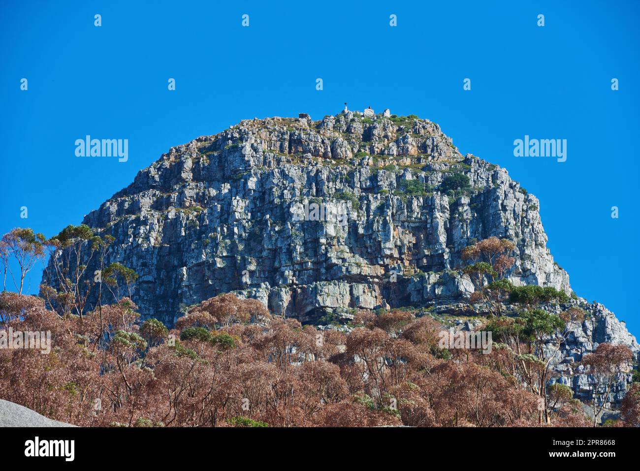 Una grande montagna con alberi marroni e verdi su uno sfondo di cielo azzurro e copyspace. Enorme terreno roccioso perfetto per escursioni, arrampicate su roccia o viste panoramiche di città del Capo all'aperto Foto Stock