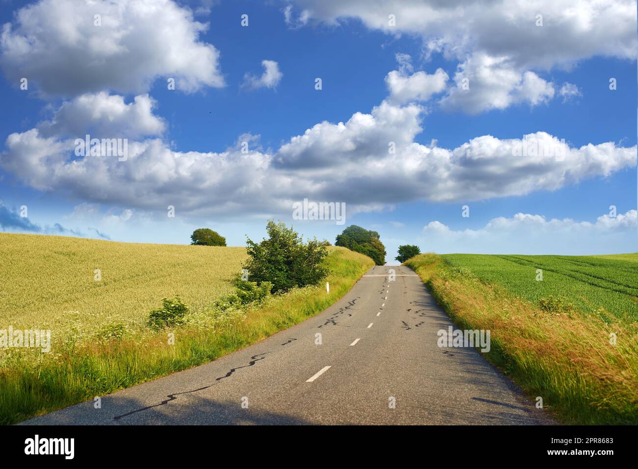 Bellissimo paesaggio di una strada di catrame di campagna con un cielo blu nuvoloso e spazio per copiare. Strada all'aperto nella natura in un pomeriggio d'estate o in un giorno vicino a prati verdi lussureggianti e spazi per il copyright Foto Stock