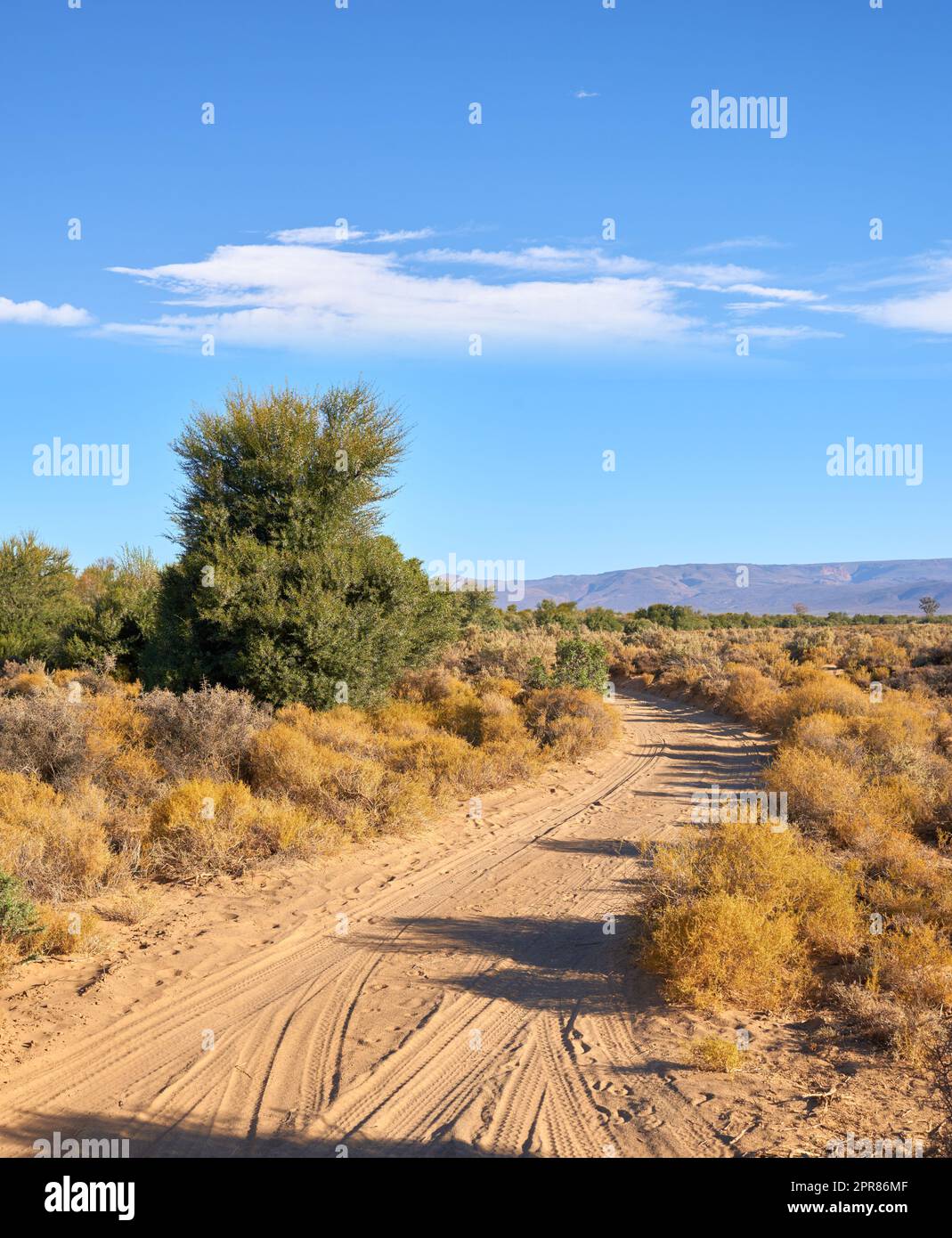 Strada sterrata attraverso la savana delle Highland. Percorso sterrato fuoristrada nel safari delle Highland, su terreni asciutti e accidentati in estate. Un paesaggio africano vuoto di aridi altopiani con cespugli verdi asciutti e spazi fotografici Foto Stock