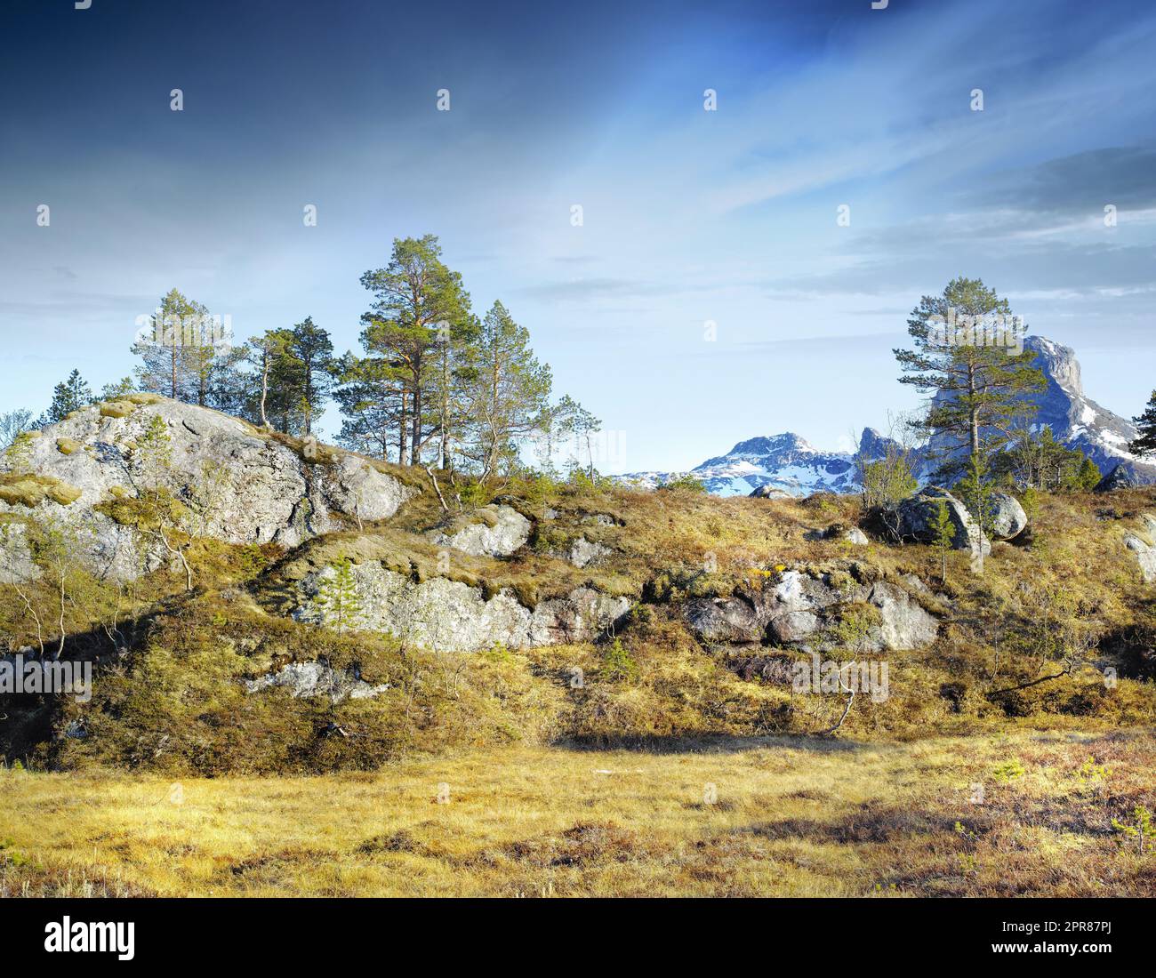 Un paesaggio di montagna con alberi e erba bruna che cresce all'aperto in una giornata invernale. Atterra con piante aride o secche e una collina rocciosa con sfondo blu nuvoloso Foto Stock