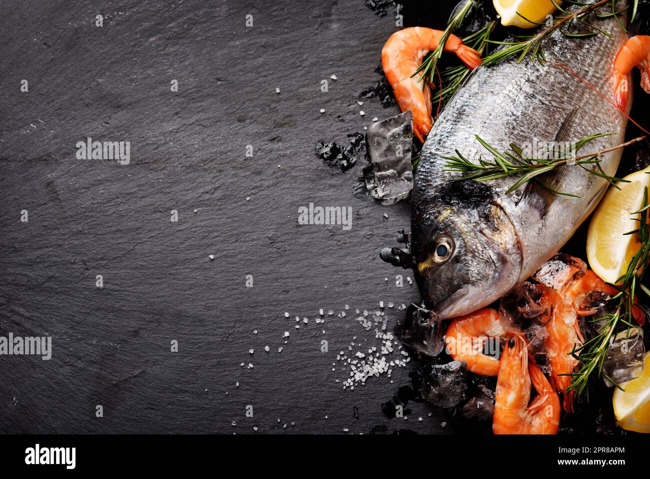 Frutti di mare su sfondo nero Foto Stock