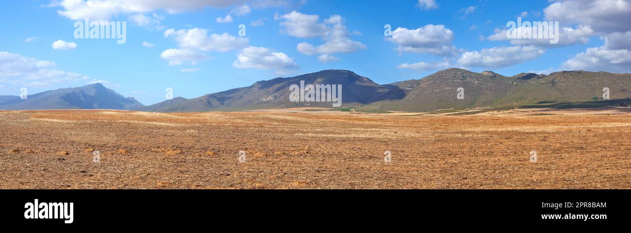 Paesaggio di terreni agricoli raccolti in una giornata nuvolosa. Campo di grano vuoto contro un cielo blu. Agricoltura rurale con pascolo secco vicino alle montagne. Ampio angolo del paese vuoto per lo sfondo dello spazio di copia. Foto Stock