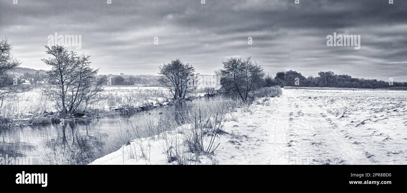Cupo paesaggio invernale monocromatico, campi innevati con cielo grigio nuvoloso. Terreni agricoli satinati in bianco e nero vuoti e fiumi ghiacciati con pini. Nevicate in Scandinavia su sfondo in scala di grigi Foto Stock