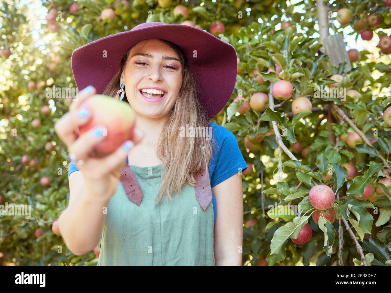 Bella giovane donna che tiene una mela in una fattoria. Felice signora che raccoglie mele in un frutteto. Prodotti a base di frutta fresca che crescono in un campo su terreni agricoli. L'industria agricola produce nella stagione del raccolto Foto Stock