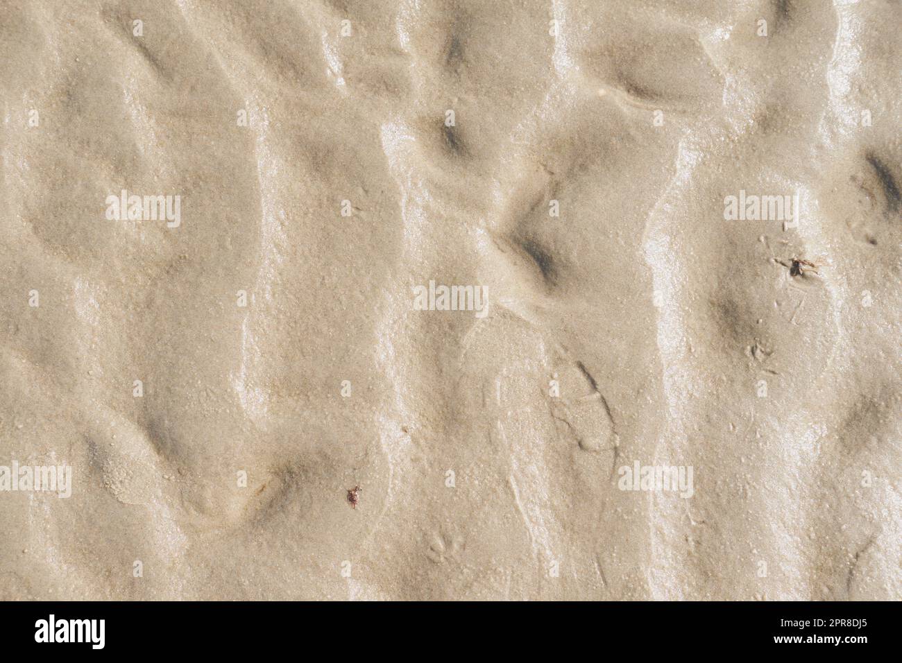 Primo piano della superficie marrone testurizzata con spazio copiato. Dettagli e motivi di sabbia o terreno con spazio coperto. Ingrandire le forme sulla sabbia, la texture e il pavimento ruvido a livello di superficie, lo sfondo astratto Foto Stock