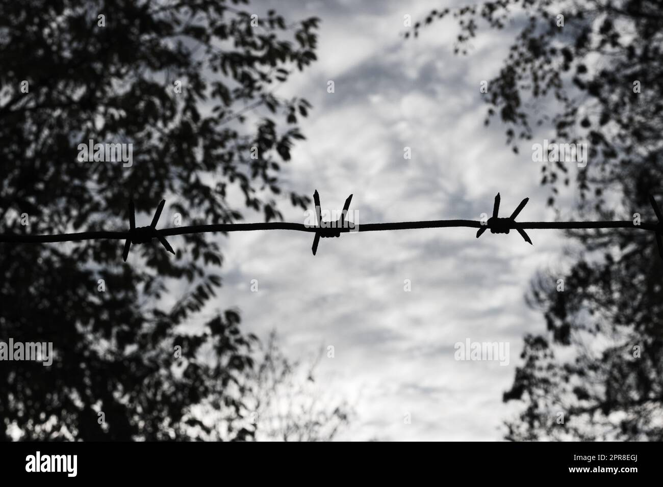 Filo spinato su uno sfondo di cielo Foto Stock