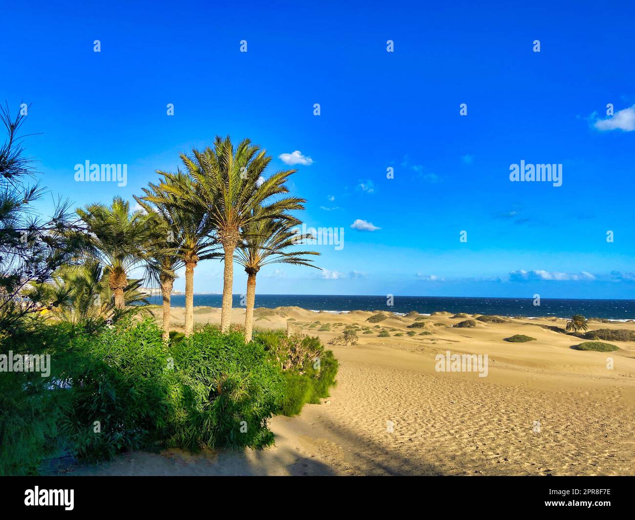 Dünen auf Gran Canaria Playa de Ingles Foto Stock