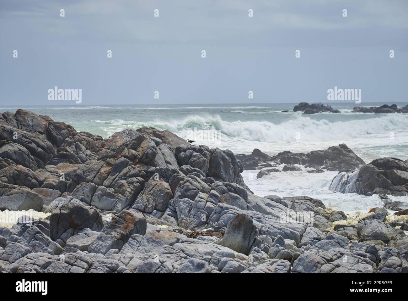 Una costa rocciosa nella provincia del Capo, in Sudafrica. Onde oceaniche che si infrangono sulle rocce costiere in una soleggiata giornata estiva con cieli azzurri e un paesaggio tropicale panoramico di fronte alla spiaggia nel Capo Occidentale Foto Stock