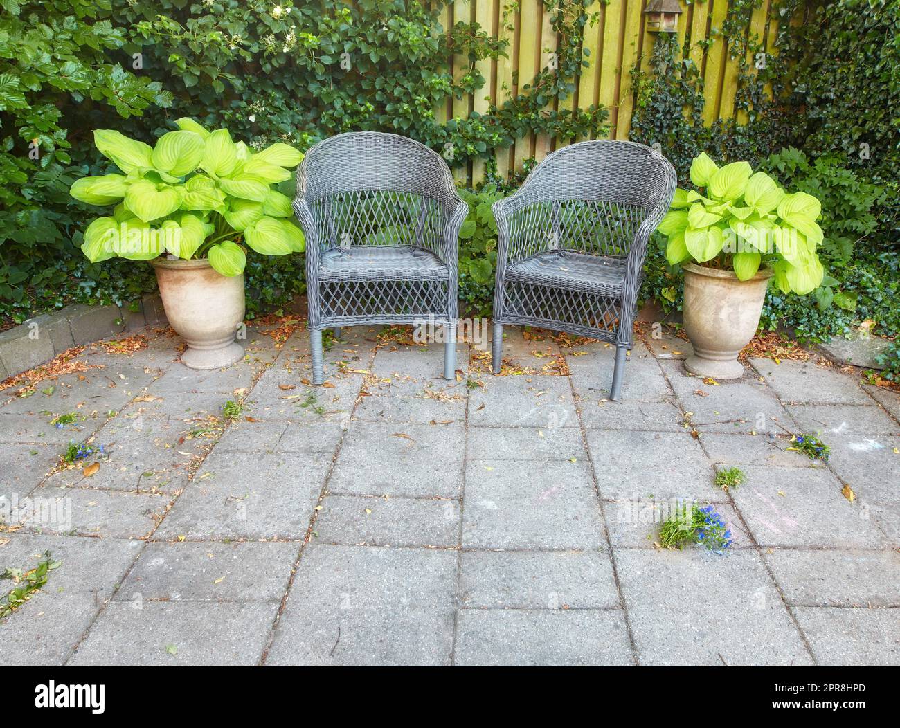 Il cortile tranquillo, sereno e invitante è ideale per rilassarsi e godersi la tranquillità. Giardino all'aperto con sedie grigie piante in vaso e pavimenti piastrellati grigi nelle giornate di sole Foto Stock