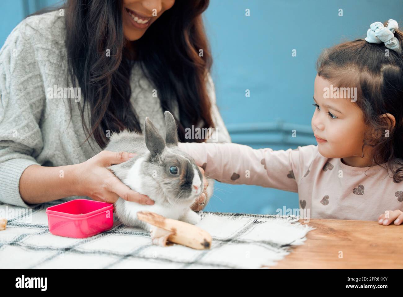 Accarezza delicatamente. Shot di una madre e figlia che nutrono il loro coniglio in casa. Foto Stock