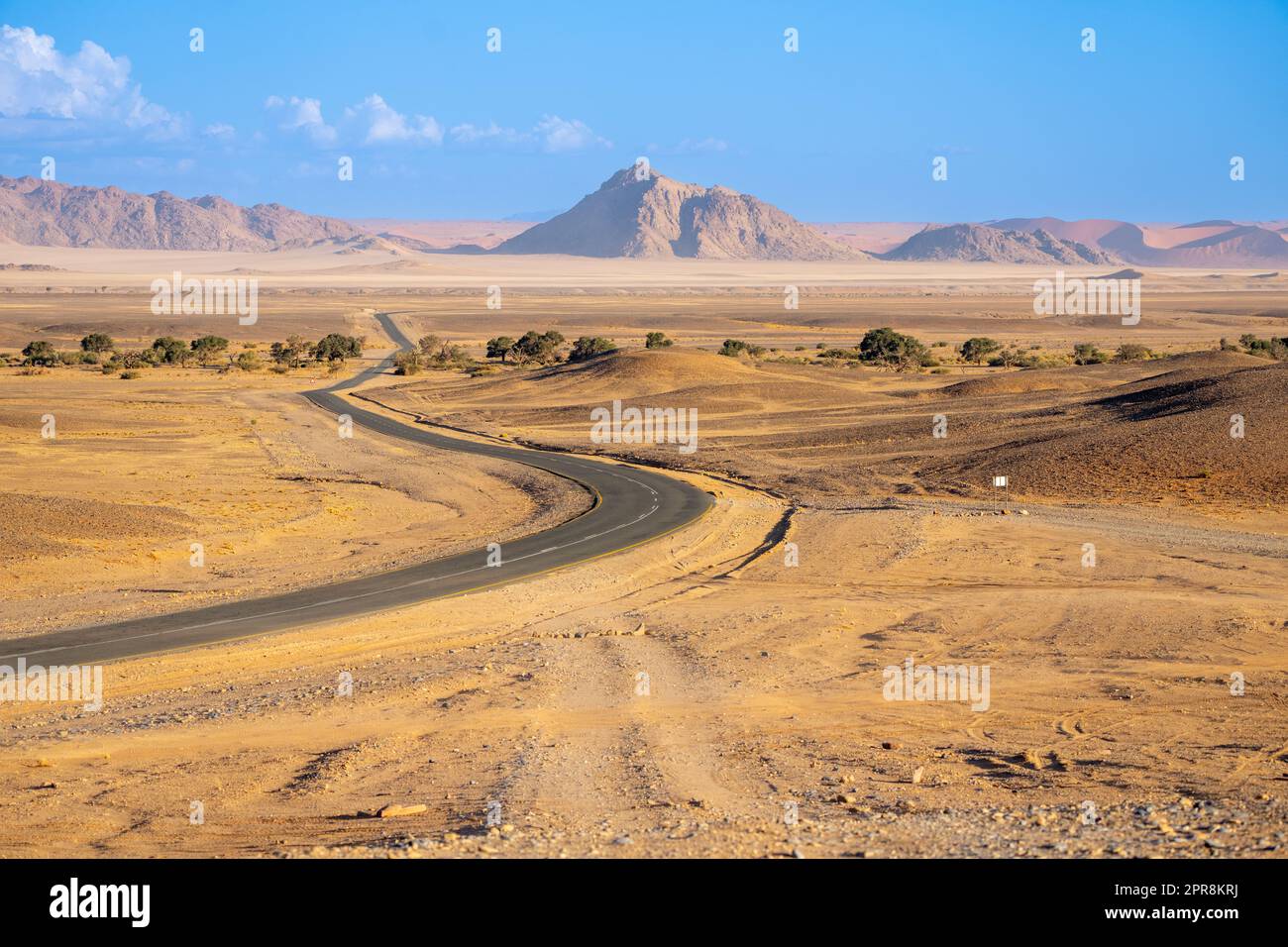 Strada del deserto Sossusvlei Namibia Foto Stock