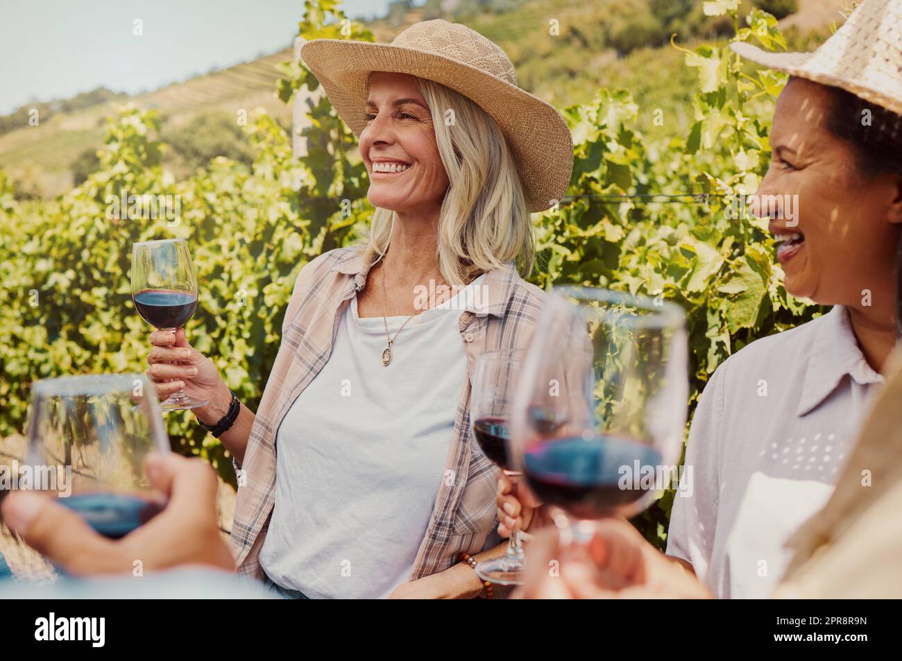 Diversi gruppi di amici che tengono gli occhiali da vista in un vigneto. Felice gruppo di persone che si uniscono e legano durante la degustazione di vini in azienda durante il fine settimana. Amici che si godono il vino bianco e l'alcol Foto Stock