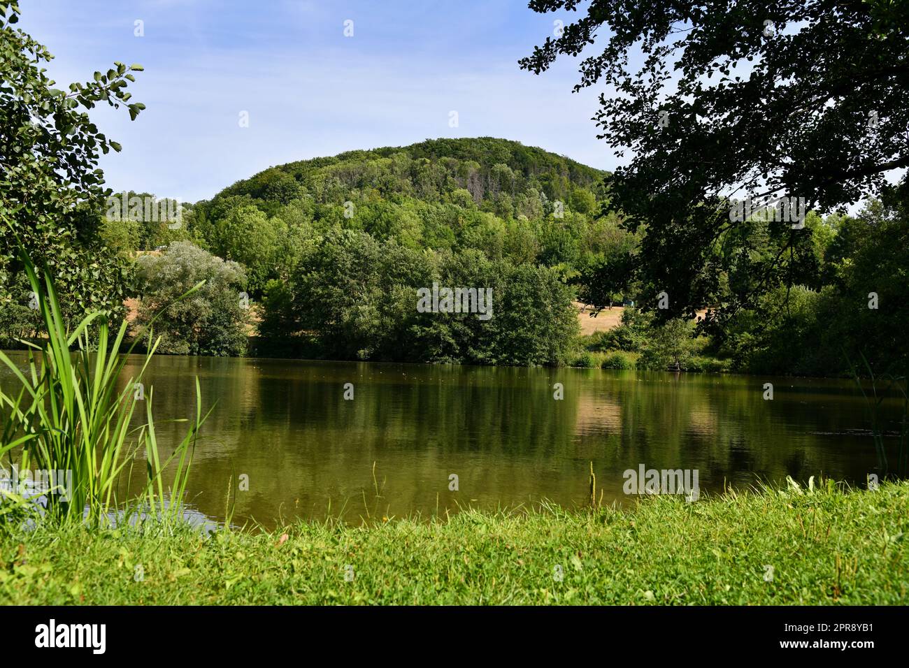 rilassati in un laghetto estivo Foto Stock