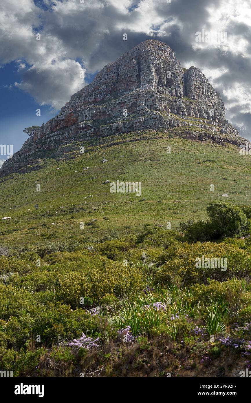 La splendida cima di montagna di Lions Head a città del Capo con un cielo blu nuvoloso in un pomeriggio d'inverno. Vista tranquilla e panoramica di una cima con pascoli all'aperto nella natura in una giornata estiva Foto Stock