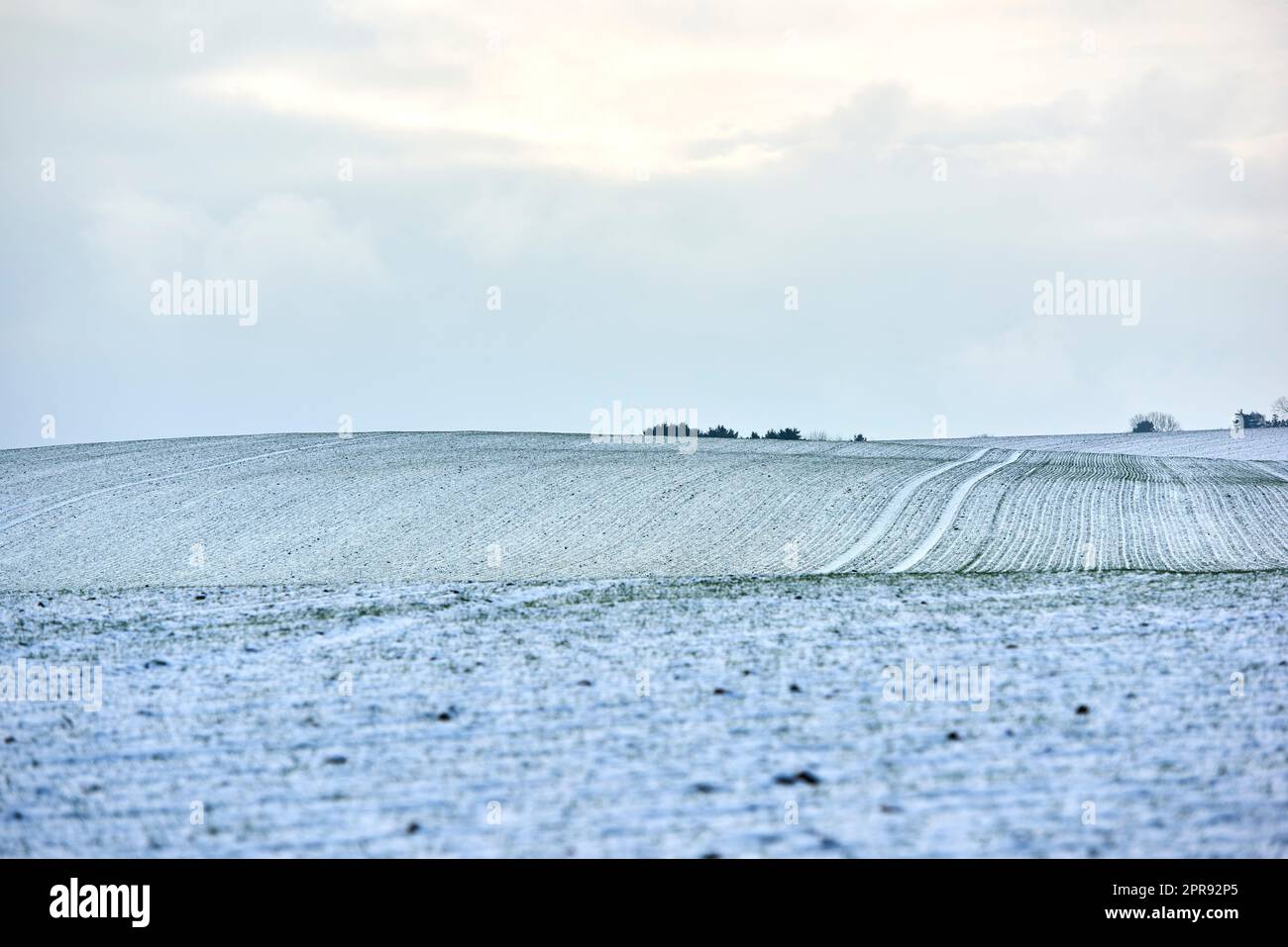 Paesaggio di campagna in una fredda giornata invernale con sfondo nuvoloso e spazio per copiare. Paesaggio naturale di un campo agricolo, prati o prati ricoperti di neve bianca in una mattinata illuminata Foto Stock