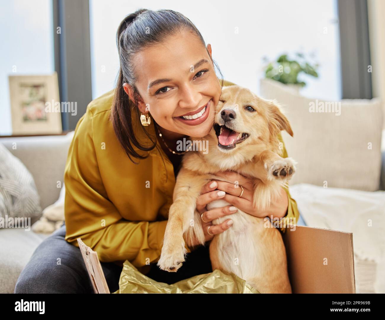 Guarda chi ha trovato una nuova casa. Una giovane donna seduta a casa con un adorabile cane piccolo. Foto Stock