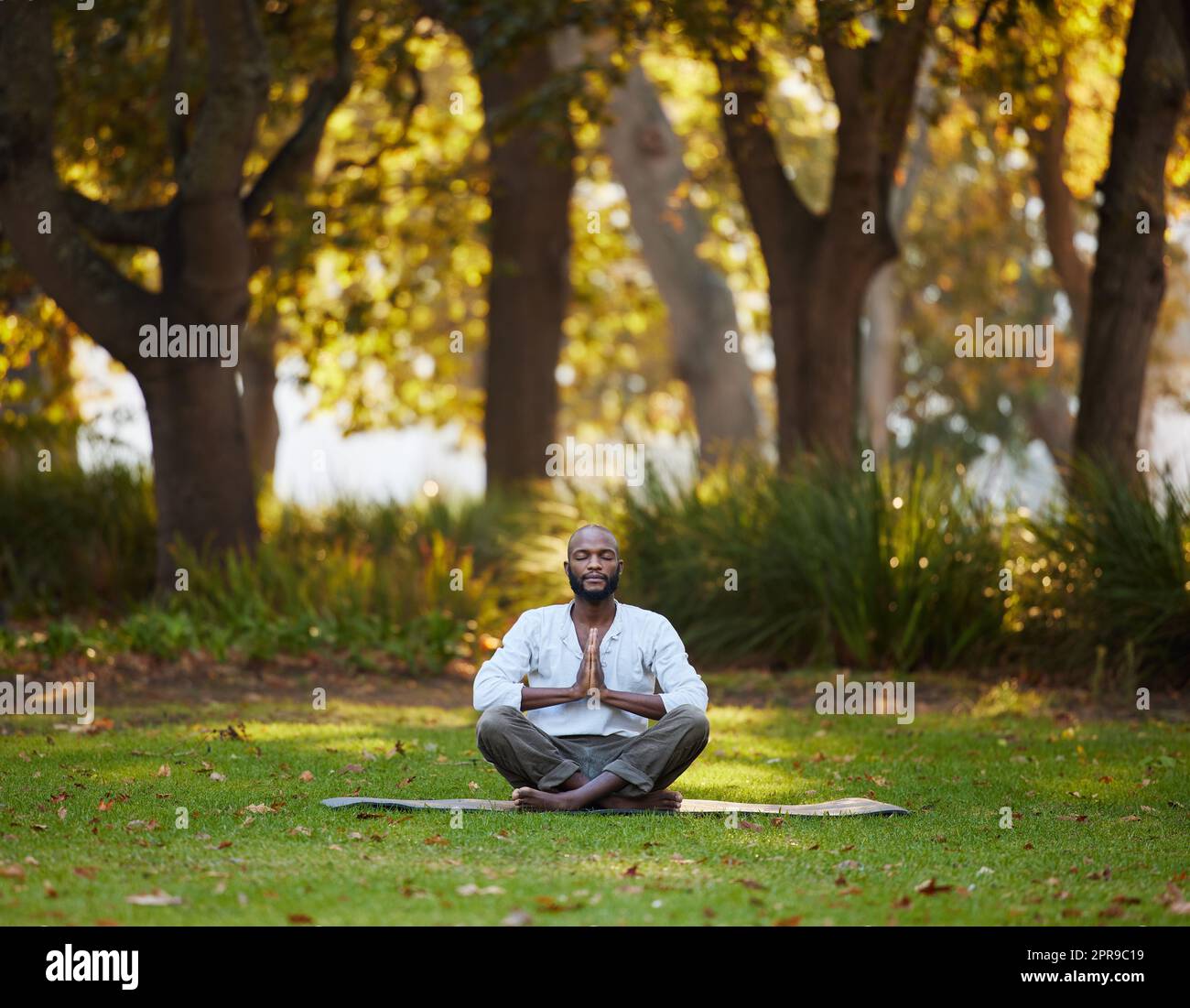 Il luogo perfetto per trovare il vostro centro. Scatto completo di un bel giovane che medita mentre pratichi lo yoga all'esterno del parco. Foto Stock