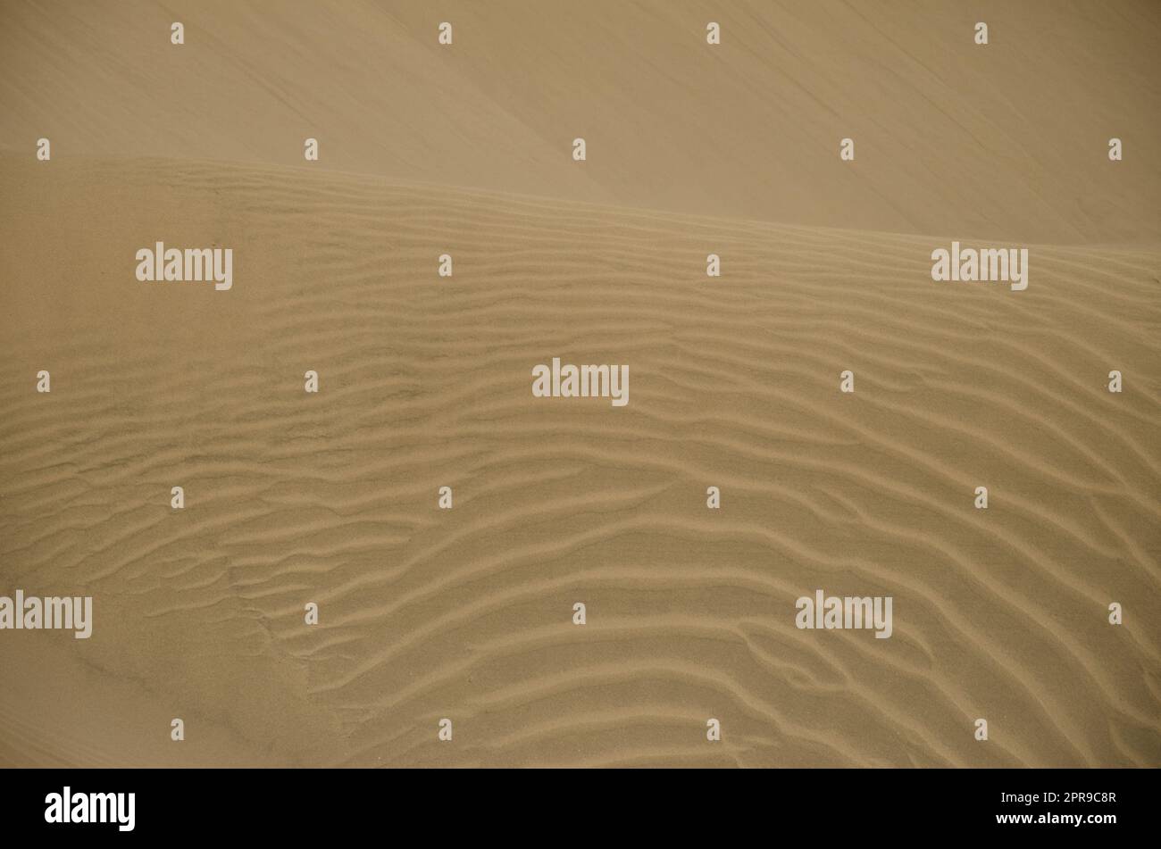 Dune di sabbia nella Riserva Naturale Speciale delle dune di Maspalomas. San Bartolome de Tirajana. Gran Canaria. Isole Canarie. Spagna. Foto Stock