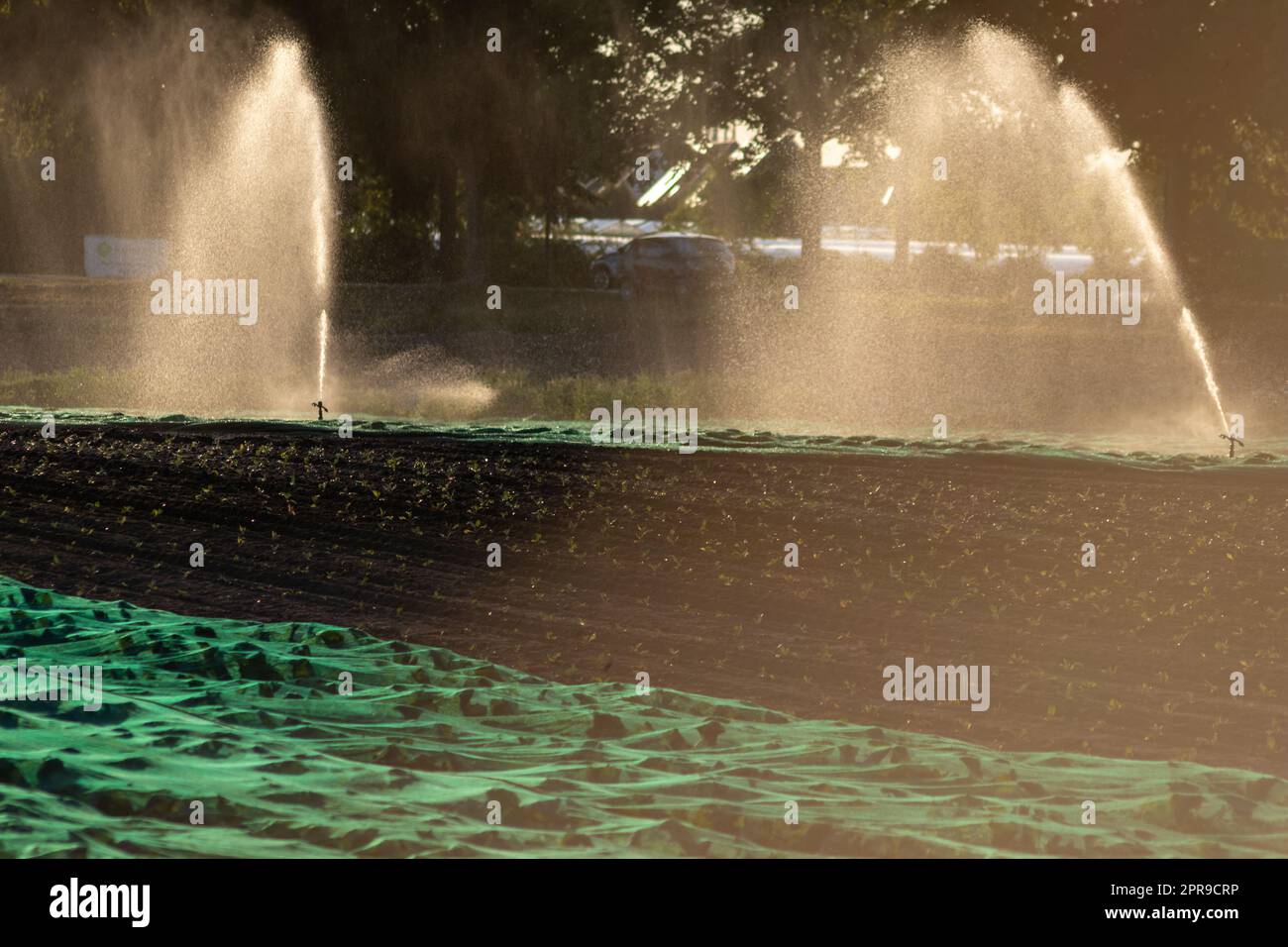 Il sistema di irrigazione agricola è necessario a causa delle calde estate e la siccità causata dai cambiamenti climatici minaccia l'agricoltura e l'agricoltura con il clima secco e l'assenza di precipitazioni gonfiano i prezzi del raccolto Foto Stock