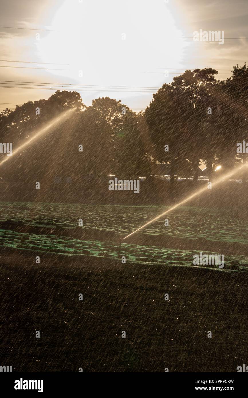 Il sistema di irrigazione agricola è necessario a causa delle calde estate e la siccità causata dai cambiamenti climatici minaccia l'agricoltura e l'agricoltura con il clima secco e l'assenza di precipitazioni gonfiano i prezzi del raccolto Foto Stock