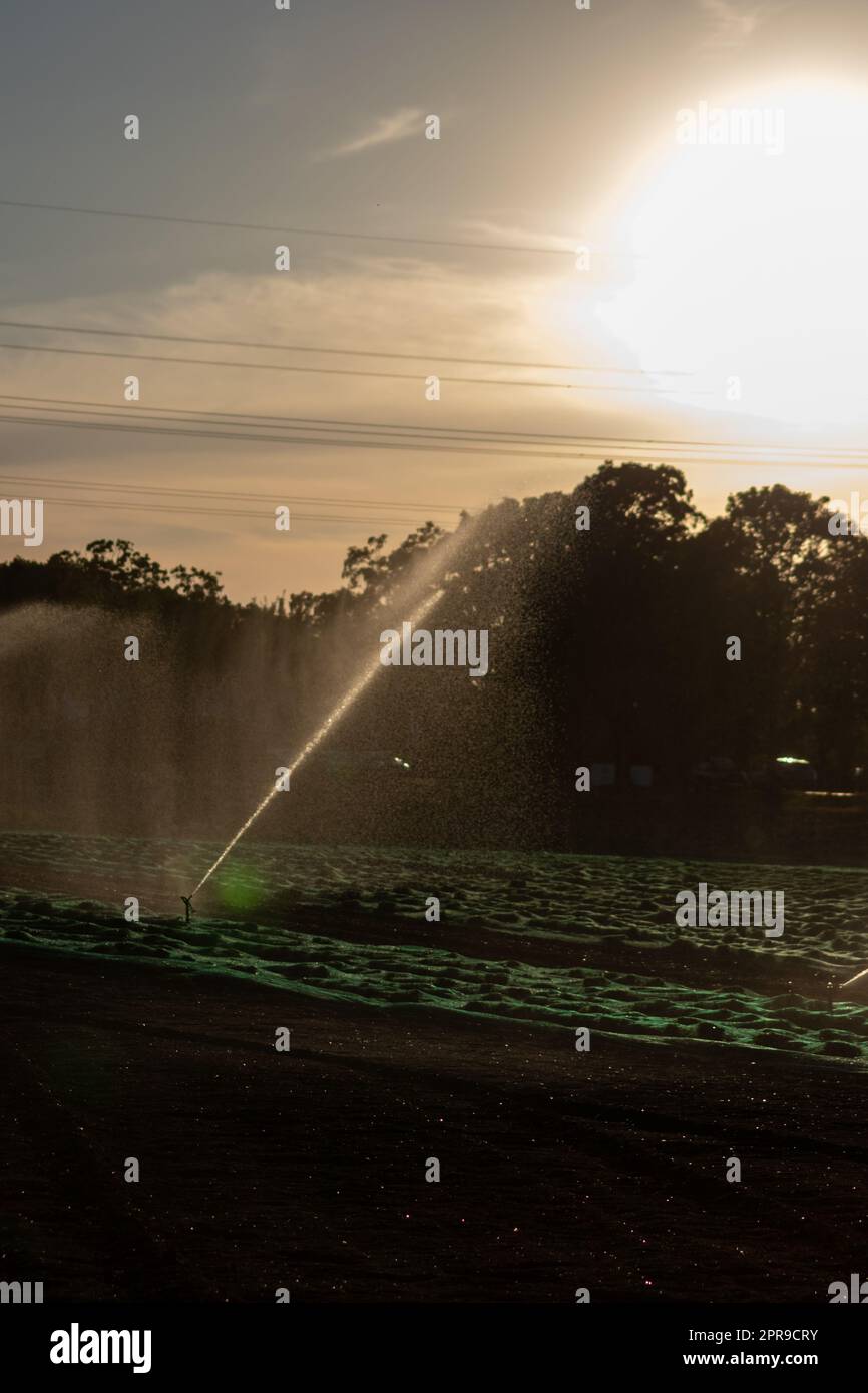 Il sistema di irrigazione agricola è necessario a causa delle calde estate e la siccità causata dai cambiamenti climatici minaccia l'agricoltura e l'agricoltura con il clima secco e l'assenza di precipitazioni gonfiano i prezzi del raccolto Foto Stock