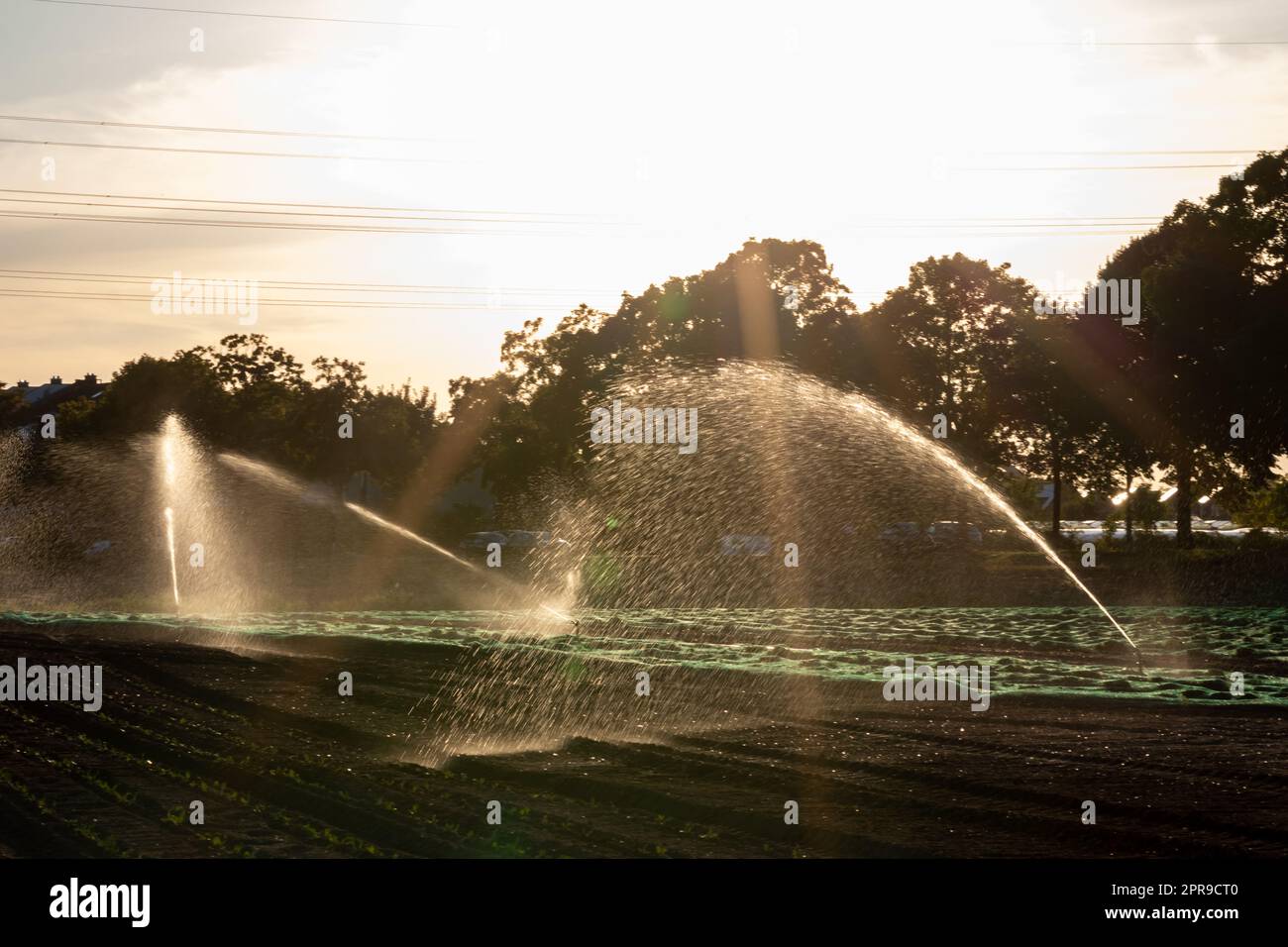 Il sistema di irrigazione agricola è necessario a causa delle calde estate e la siccità causata dai cambiamenti climatici minaccia l'agricoltura e l'agricoltura con il clima secco e l'assenza di precipitazioni gonfiano i prezzi del raccolto Foto Stock
