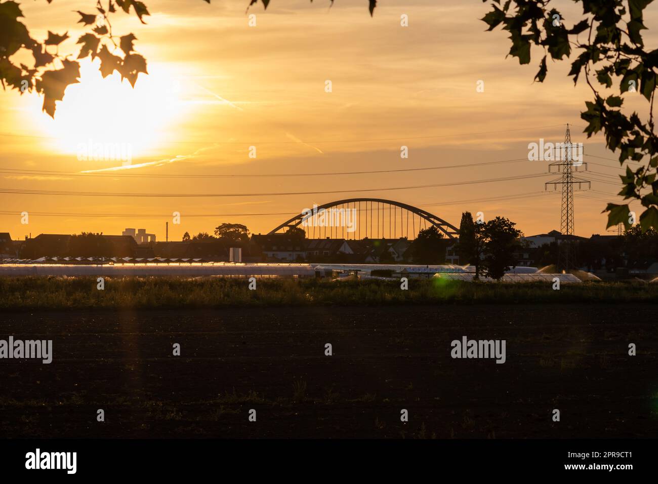 Tramonto dorato sulle sagome delle serre con ponte e torre elettrica per l'energia solare in attività agricole in campagna idilliaca e paesaggi rurali mostra serre di vetro verdure salutari Foto Stock