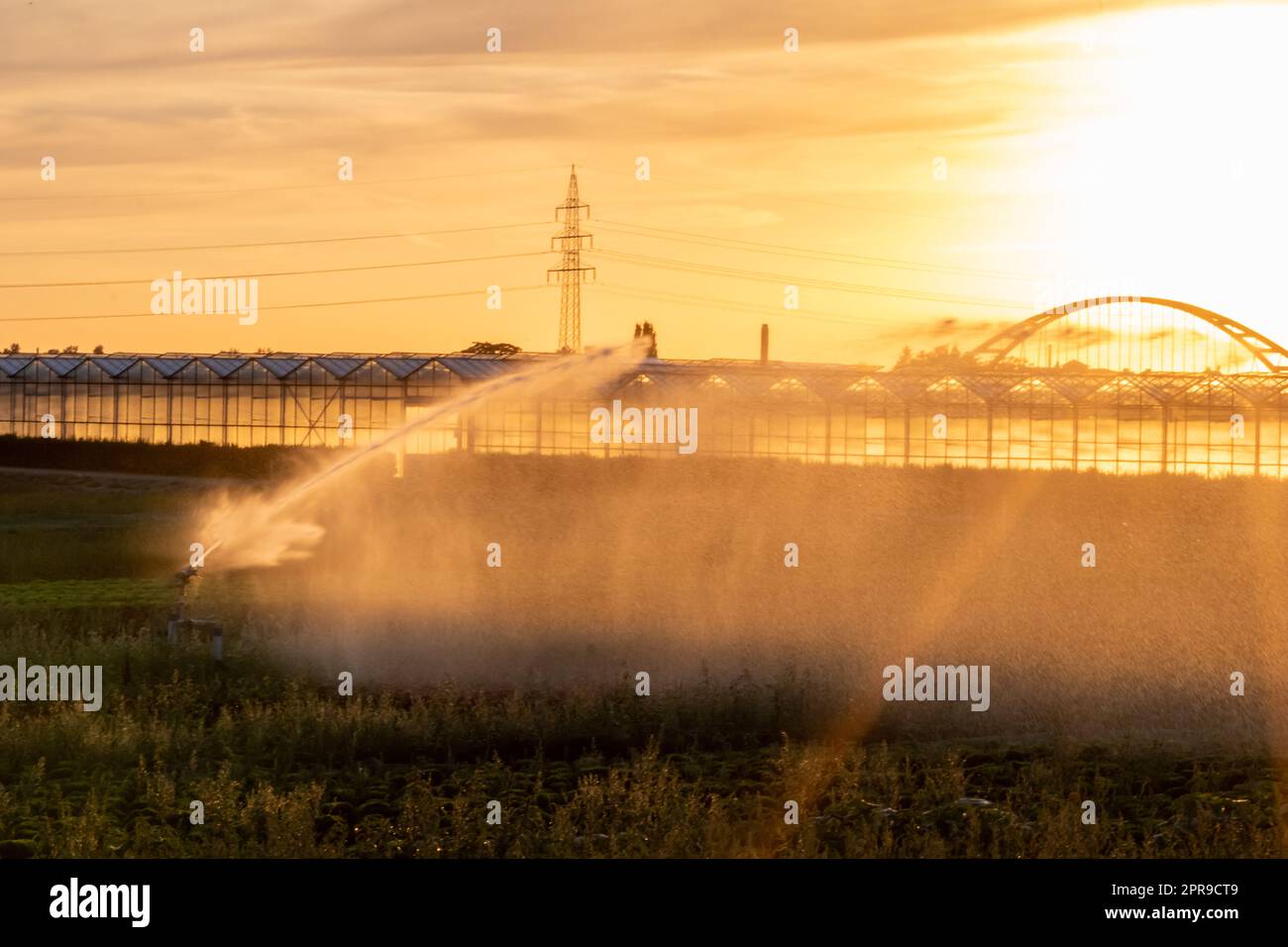Il sistema di irrigazione agricola è necessario a causa delle calde estate e la siccità causata dai cambiamenti climatici minaccia l'agricoltura e l'agricoltura con il clima secco e l'assenza di precipitazioni gonfiano i prezzi del raccolto Foto Stock